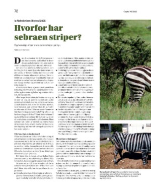 finansavisen_bilag-20251024_000_00_00_072.pdf