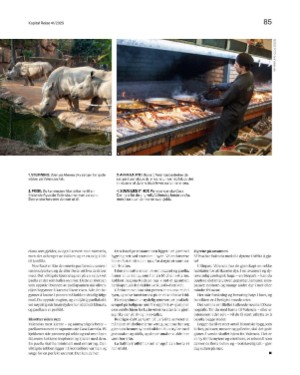 finansavisen_bilag-20251031_000_00_00_085.pdf finansavisen_bilag-20251031_000_00_00_085.pdf