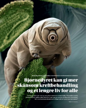 finansavisen_bilag-20251205_000_00_00_068.pdf