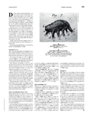 finansavisen_bilag-20251205_000_00_00_069.pdf