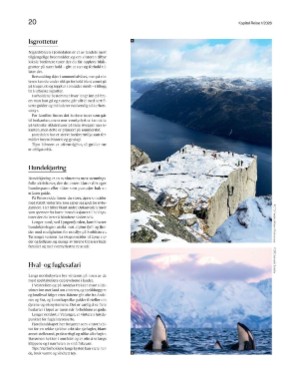 finansavisen_bilag-20260102_000_00_00_020.pdf