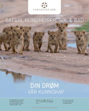 finansavisen_bilag-20260102_000_00_00_038.pdf