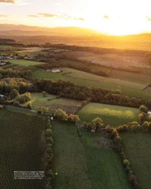 finansavisen_bilag-20260102_000_00_00_052.pdf