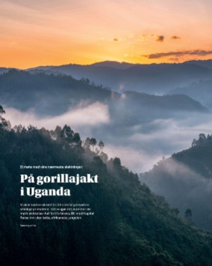 finansavisen_bilag-20260102_000_00_00_060.pdf