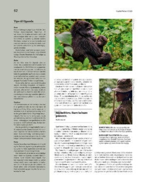 finansavisen_bilag-20260102_000_00_00_062.pdf