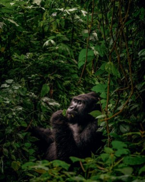 finansavisen_bilag-20260102_000_00_00_063.pdf