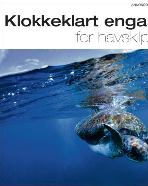finansavisen_motor-20190608_000_00_00_026.pdf