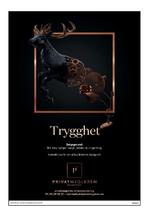 finnmarkdagblad_bilag-20210421_000_00_00_020.pdf