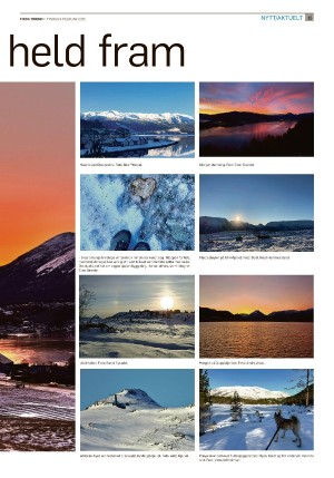 firdatidend-20260203_000_00_00_015.pdf