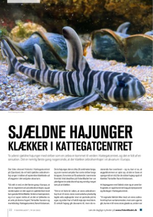 fiskerbladet-20221015_009_00_00_022.pdf