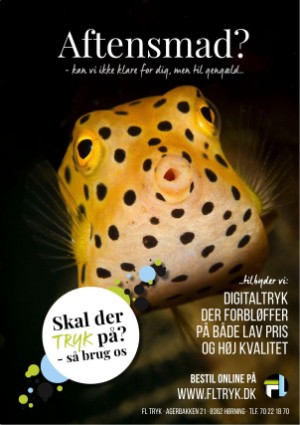 fiskerbladet-20230615_003_00_00_039.pdf
