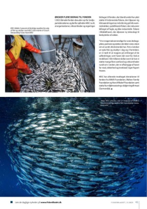 fiskerbladet-20230615_003_00_00_041.pdf