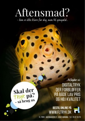 fiskerbladet-20231212_005_00_00_044.pdf