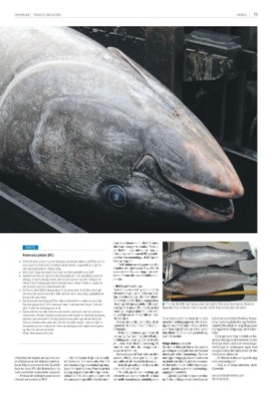 fiskeribladet-20240213_000_00_00_019.pdf