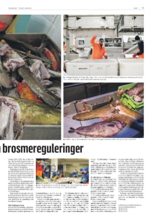 fiskeribladet-20240305_000_00_00_013.pdf