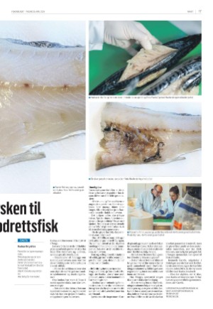 fiskeribladet-20240426_000_00_00_017.pdf
