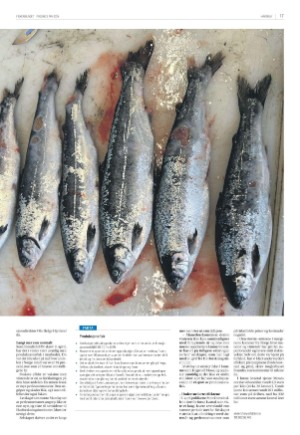 fiskeribladet-20240503_000_00_00_017.pdf