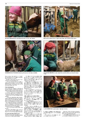 fjellljom-20260219_000_00_00_016.pdf