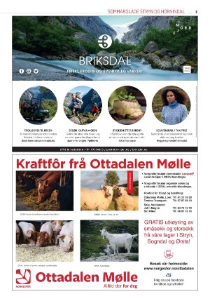 fjordingen_bilag2-20250617_000_00_00_003.pdf