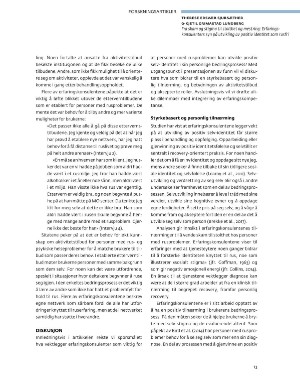 fonteneforskning-20211216_002_00_00_013.pdf