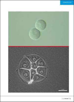 forskning_sv-20131101_005_00_00_019.pdf