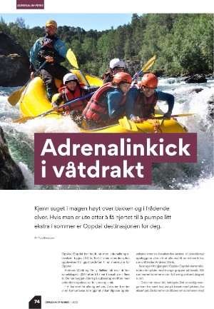 fosnafolket_bilag-20220520_000_00_00_074.pdf