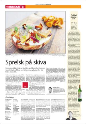 fremtiden-20131011_000_00_00_040.pdf
