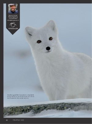 friluftsliv-20250219_000_00_00_048.pdf