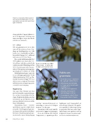 friluftsliv-20250219_000_00_00_060.pdf