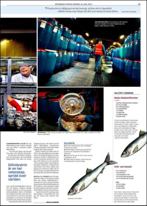 goteborgsposten-20130616_000_00_00_065.pdf
