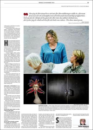goteborgsposten-20161120_000_00_00_065.pdf