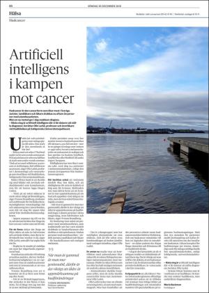 goteborgsposten-20181230_000_00_00_060.pdf
