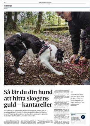 goteborgsposten-20200809_000_00_00_054.pdf