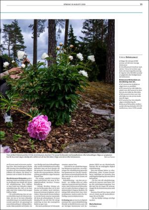 goteborgsposten-20200816_000_00_00_059.pdf