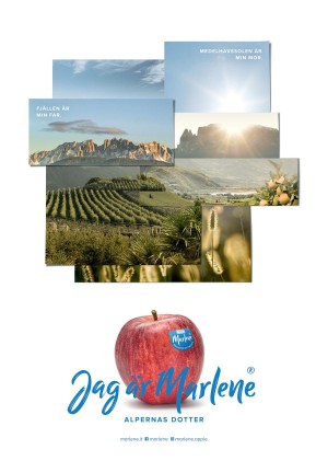 goteborgsposten-20210320_000_00_00_023.pdf