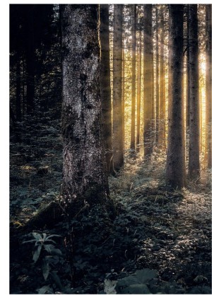 goteborgsposten-20220924_000_00_00_088.pdf