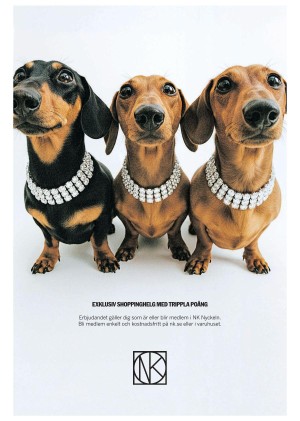 goteborgsposten-20251128_000_00_00_003.pdf