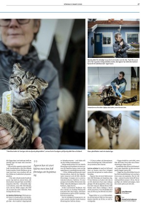 goteborgsposten-20260308_000_00_00_027.pdf