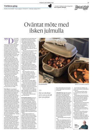 goteborgsposten_2-20241206_000_00_00_023.pdf