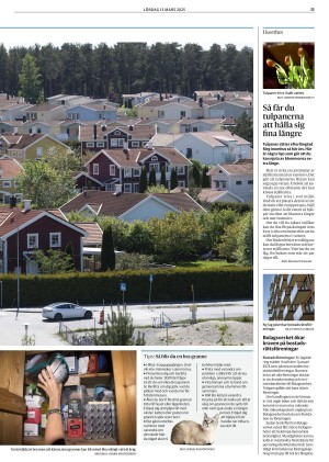 goteborgsposten_2-20250315_000_00_00_035.pdf