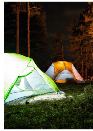 goteborgsposten_2-20260110_000_00_00_030.pdf