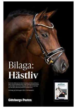 goteborgsposten_2-20260221_000_00_00_030.pdf