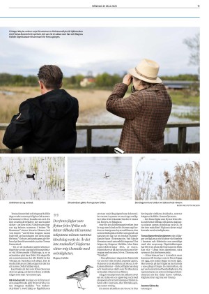 goteborgsposten_3-20250525_000_00_00_011.pdf