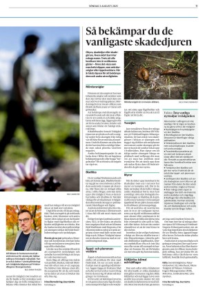 goteborgsposten_3-20250803_000_00_00_011.pdf
