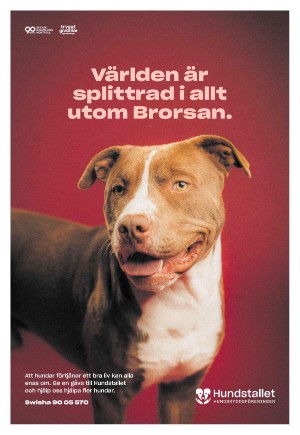 goteborgstidningen-20260103_000_00_00_037.pdf