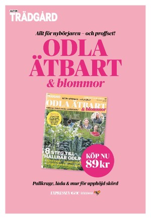 goteborgstidningen_bilag-20220506_000_00_00_021.pdf