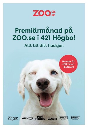 goteborgstidningen_bilag-20230324_000_00_00_005.pdf