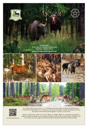 goteborgstidningen_bilag-20230623_000_00_00_031.pdf