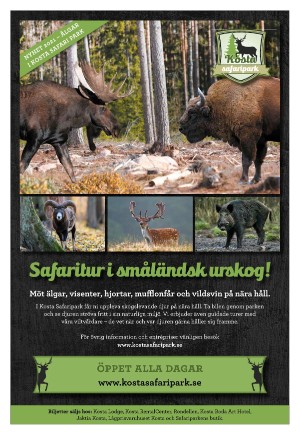 goteborgstidningen_sport-20210625_000_00_00_027.pdf