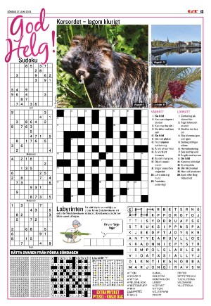 goteborgstidningen_sport-20210627_000_00_00_013.pdf